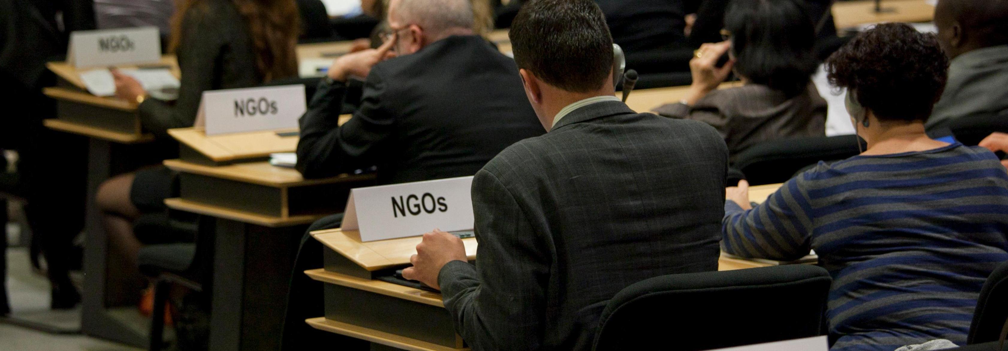 NGOs global submit